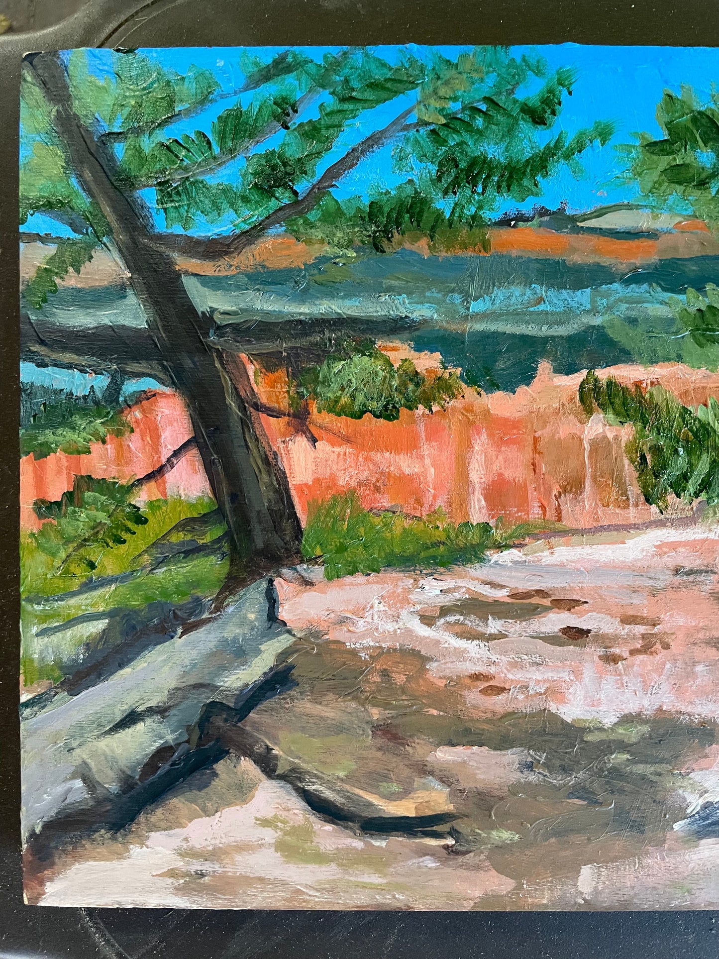 Bryce Overlook, Painting #6 of the Cathedrals of Light Series painted in Zion National Park