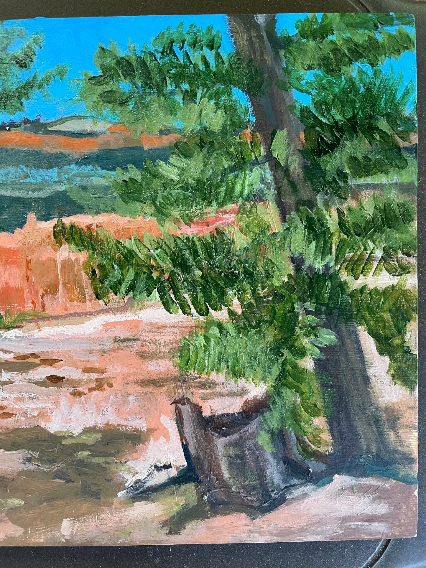 Bryce Overlook, Painting #6 of the Cathedrals of Light Series painted in Zion National Park