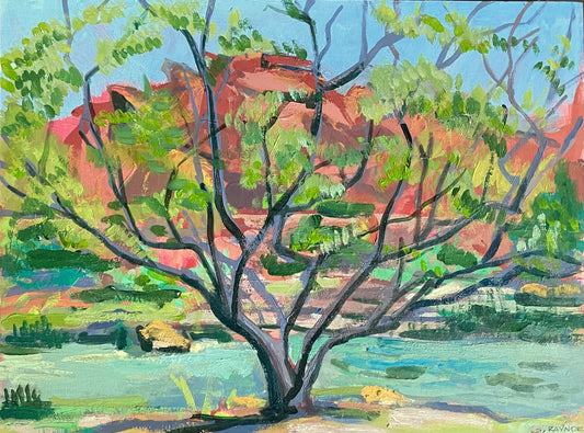 Burgandy Lace Desert Willow, Painting #2 of the Cathedrals of Light Series painted in Zion National Park