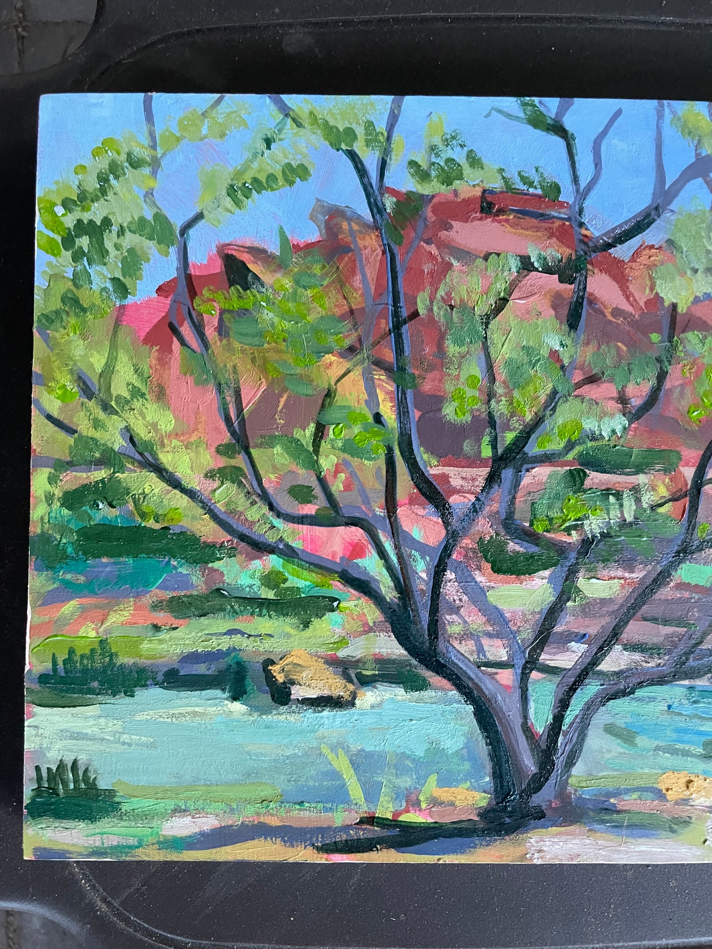 Burgandy Lace Desert Willow, Painting #2 of the Cathedrals of Light Series painted in Zion National Park
