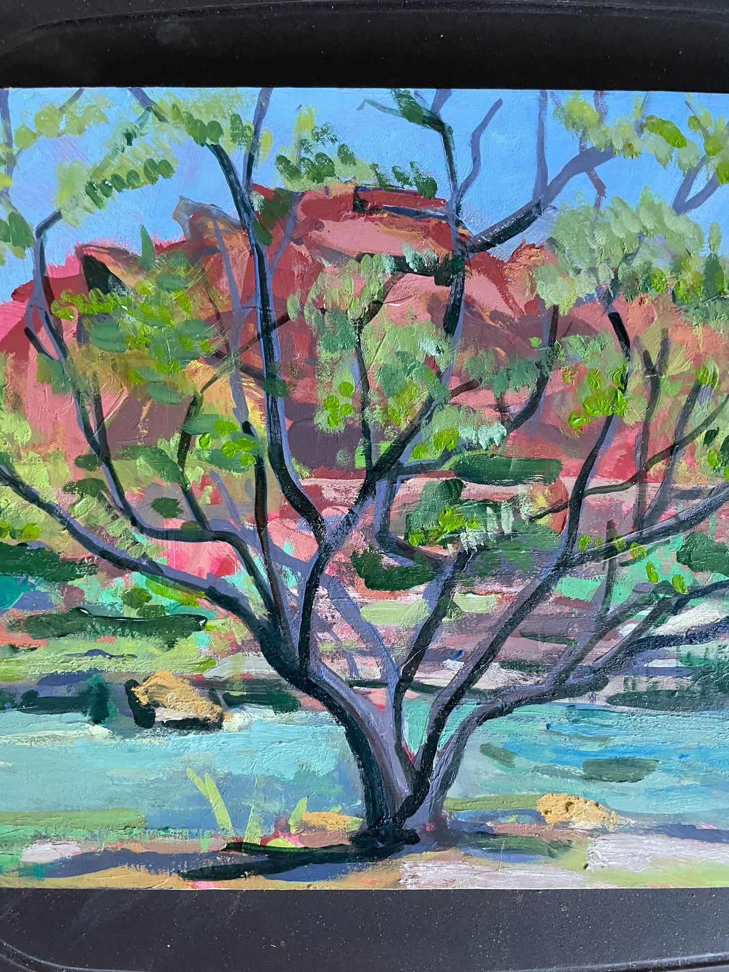 Burgandy Lace Desert Willow, Painting #2 of the Cathedrals of Light Series painted in Zion National Park