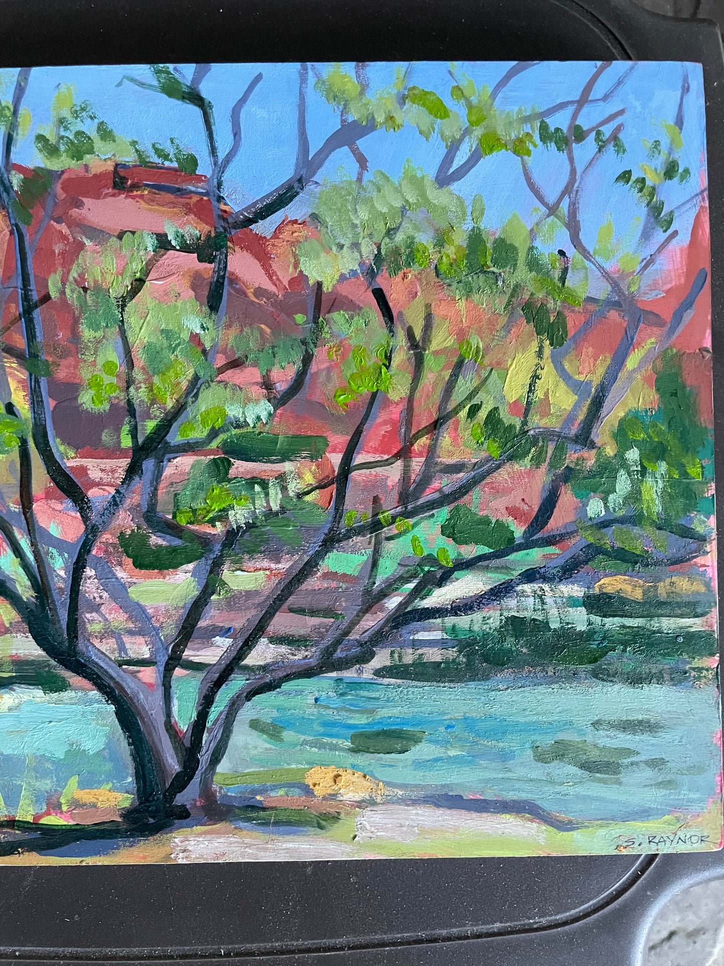 Burgandy Lace Desert Willow, Painting #2 of the Cathedrals of Light Series painted in Zion National Park