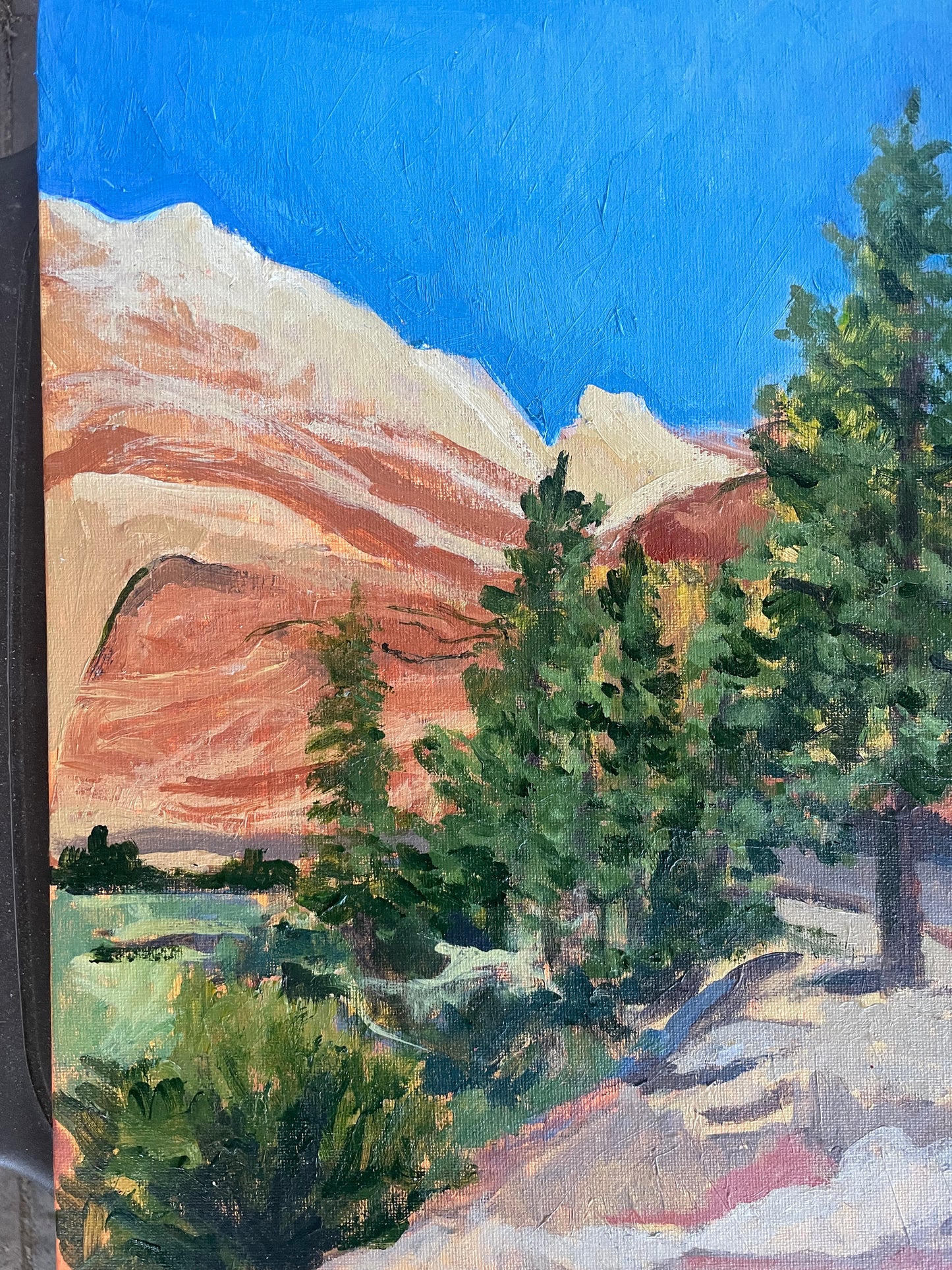 Checkerboard Mesa, Painting #11 of the Cathedrals of Light Series painted in Zion National Park (Copy)