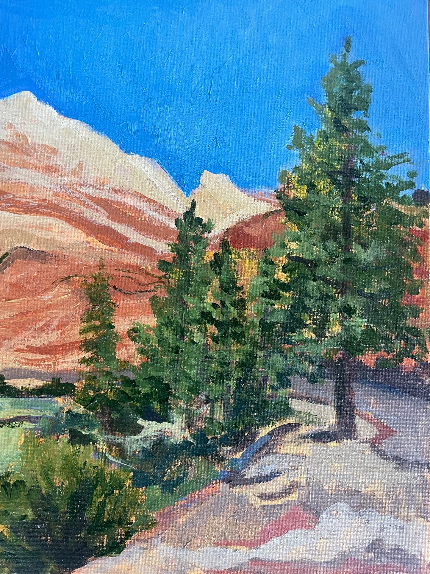 Checkerboard Mesa, Painting #11 of the Cathedrals of Light Series painted in Zion National Park (Copy)