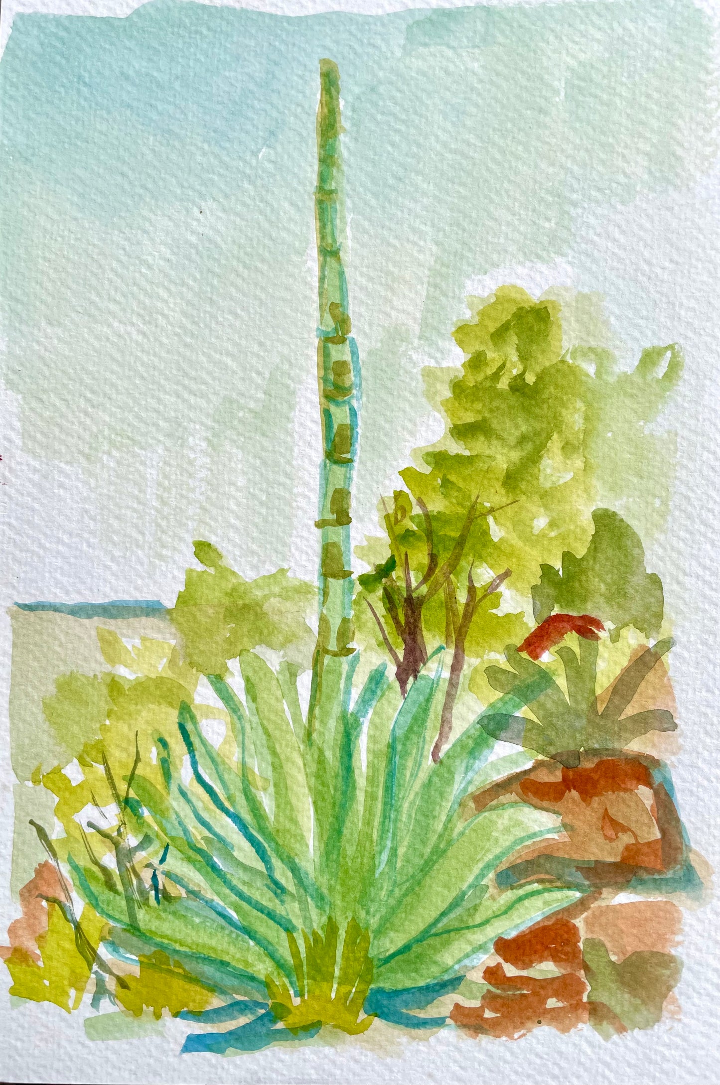 Agave, Original Watercolor, 6 x 9 Inches, Cathedrals of Light Series