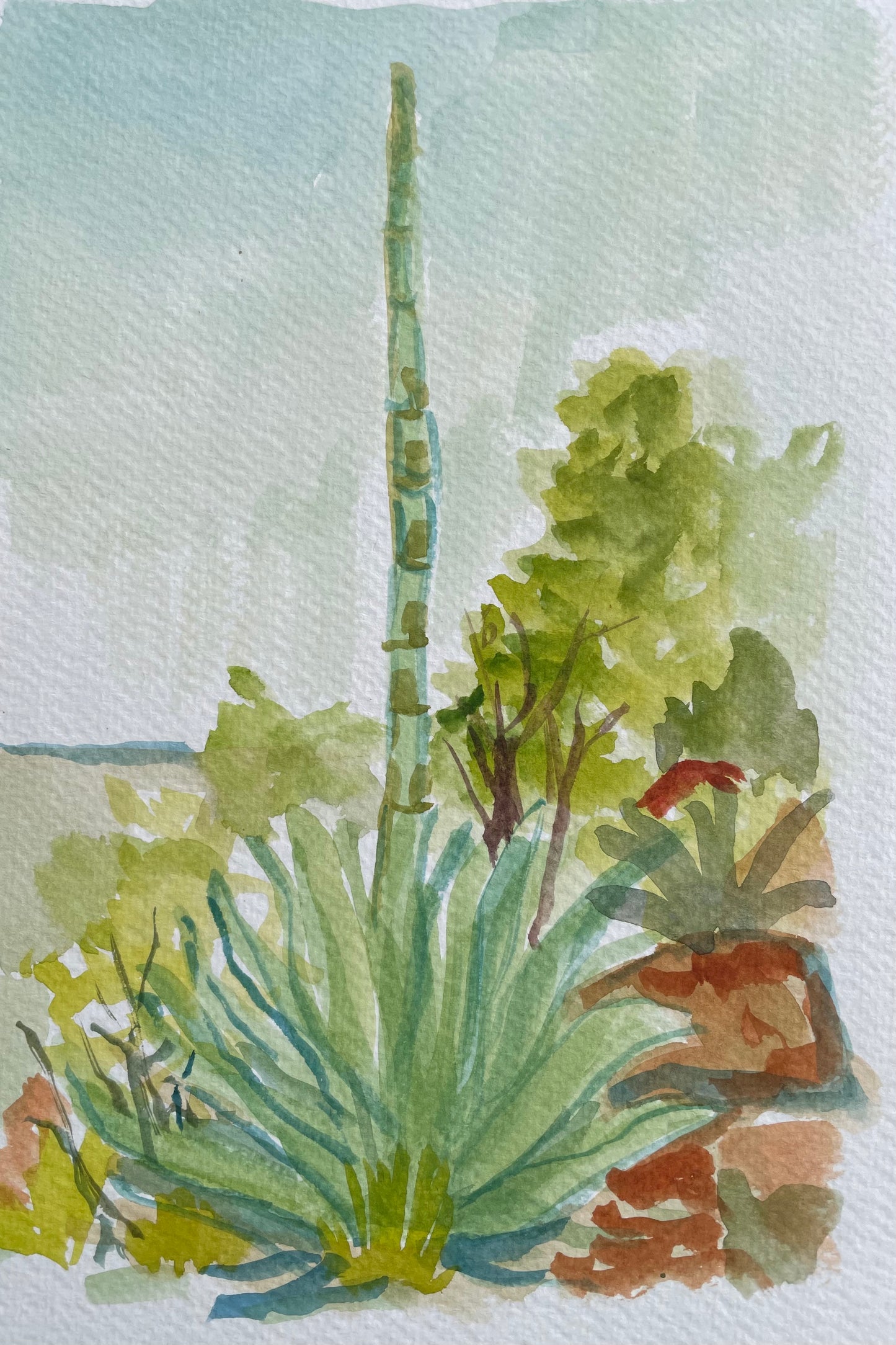 Agave, Original Watercolor, 6 x 9 Inches, Cathedrals of Light Series