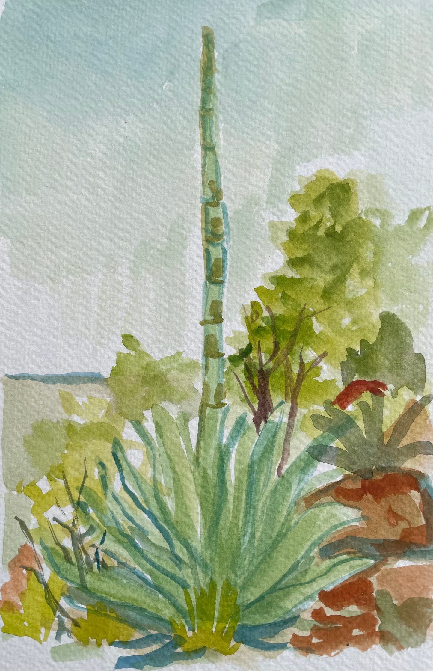 Agave, Original Watercolor, 6 x 9 Inches, Cathedrals of Light Series