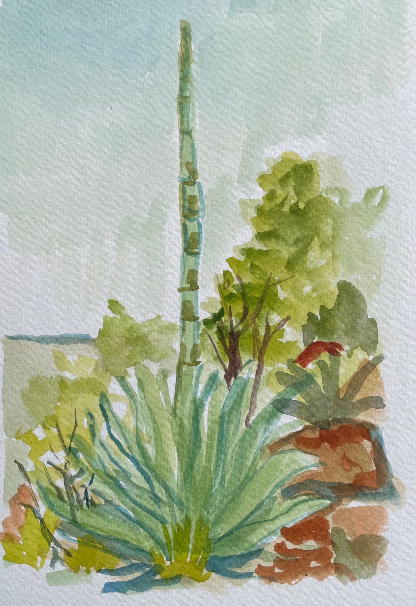 Agave, Original Watercolor, 6 x 9 Inches, Cathedrals of Light Series