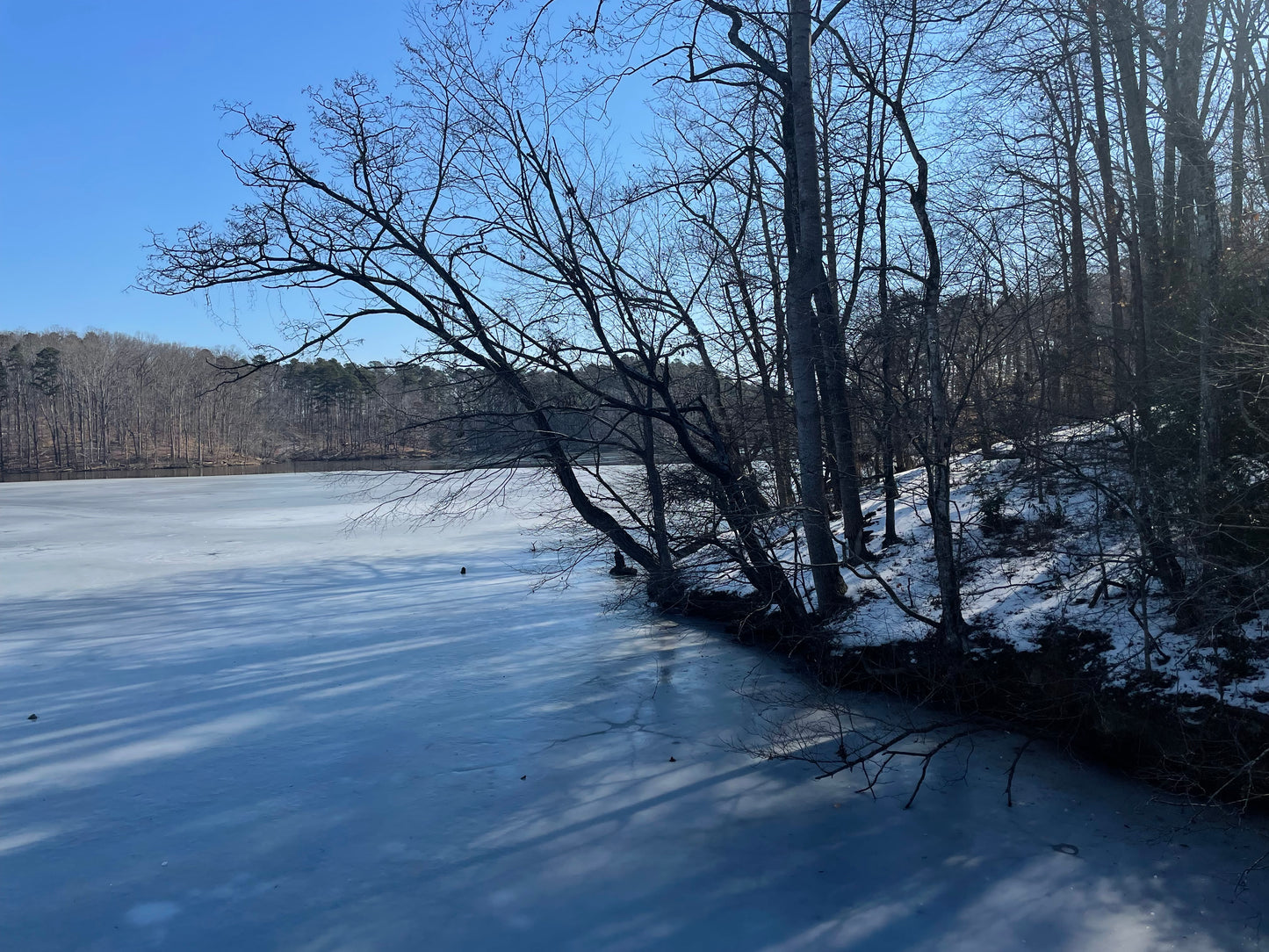Winter at Pond's Edge, original watercolor on archival paper