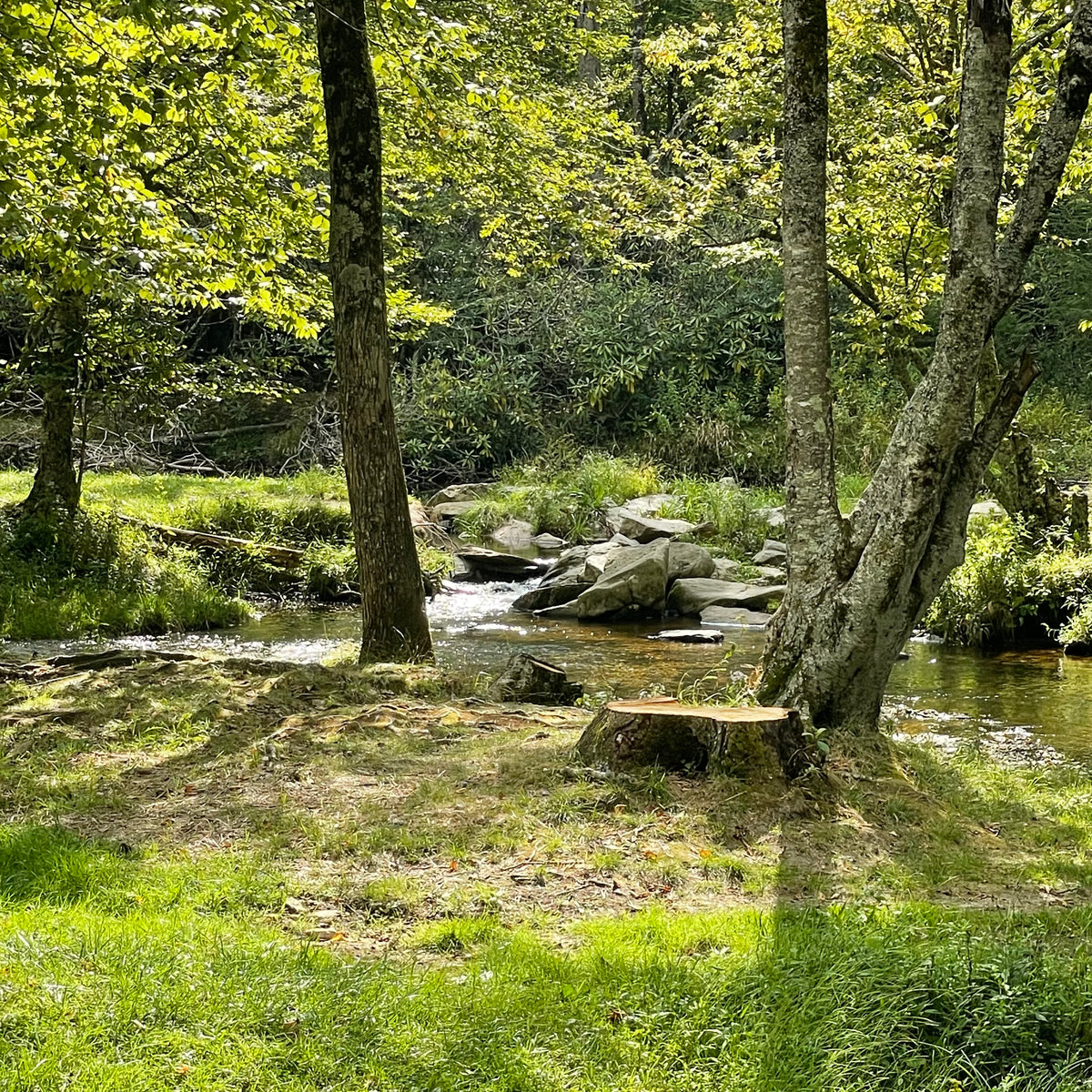 Sunny Glade near the Blue Ridge Parkway, #3 of 50 Places in 50 Paintings