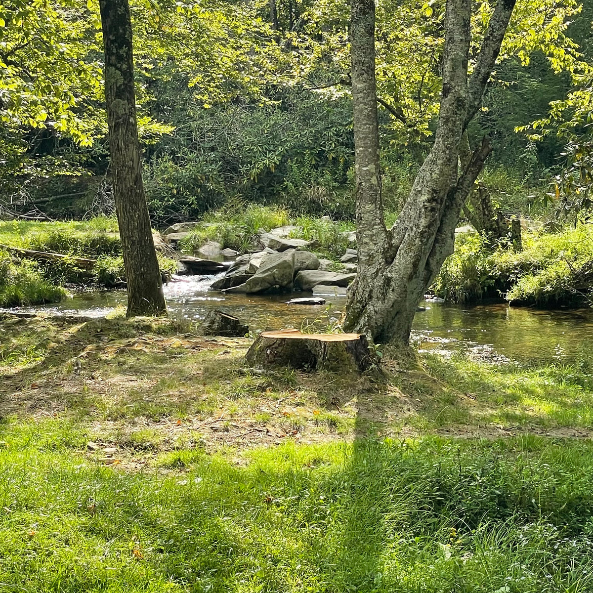 Sunny Glade near the Blue Ridge Parkway, #3 of 50 Places in 50 Paintings