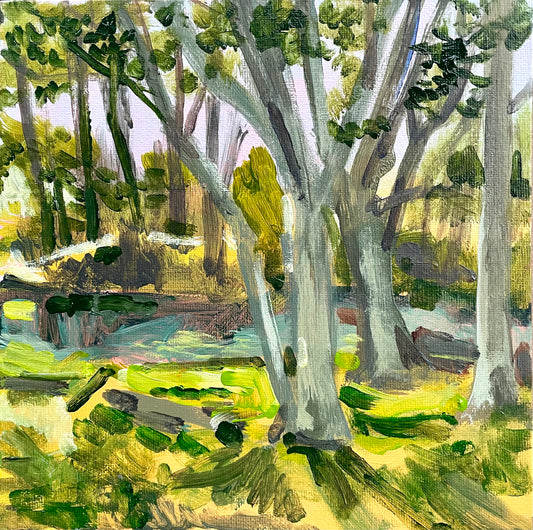 Sunny Glade near the Blue Ridge Parkway, #3 of 50 Places in 50 Paintings