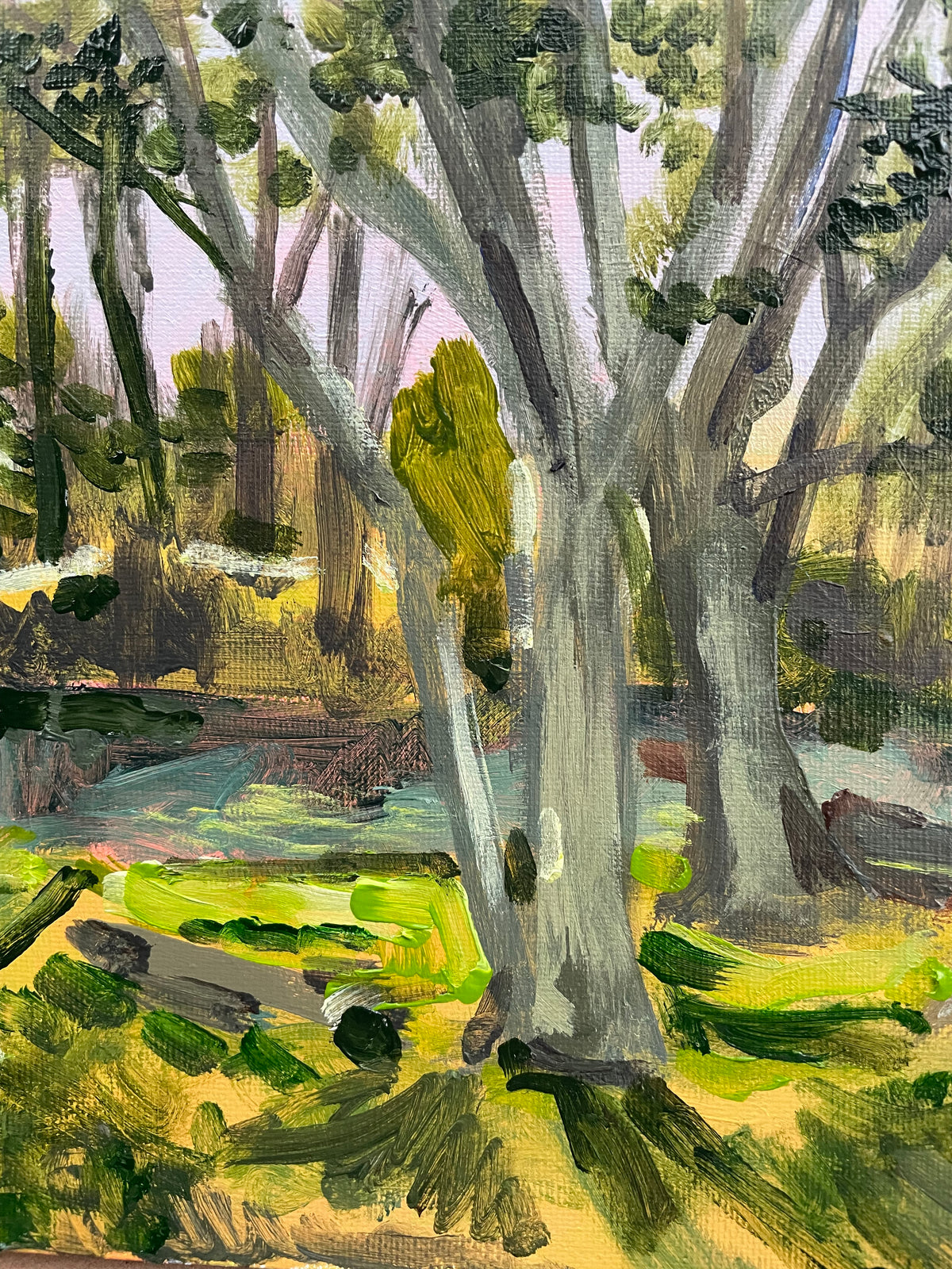 Sunny Glade near the Blue Ridge Parkway, #3 of 50 Places in 50 Paintings