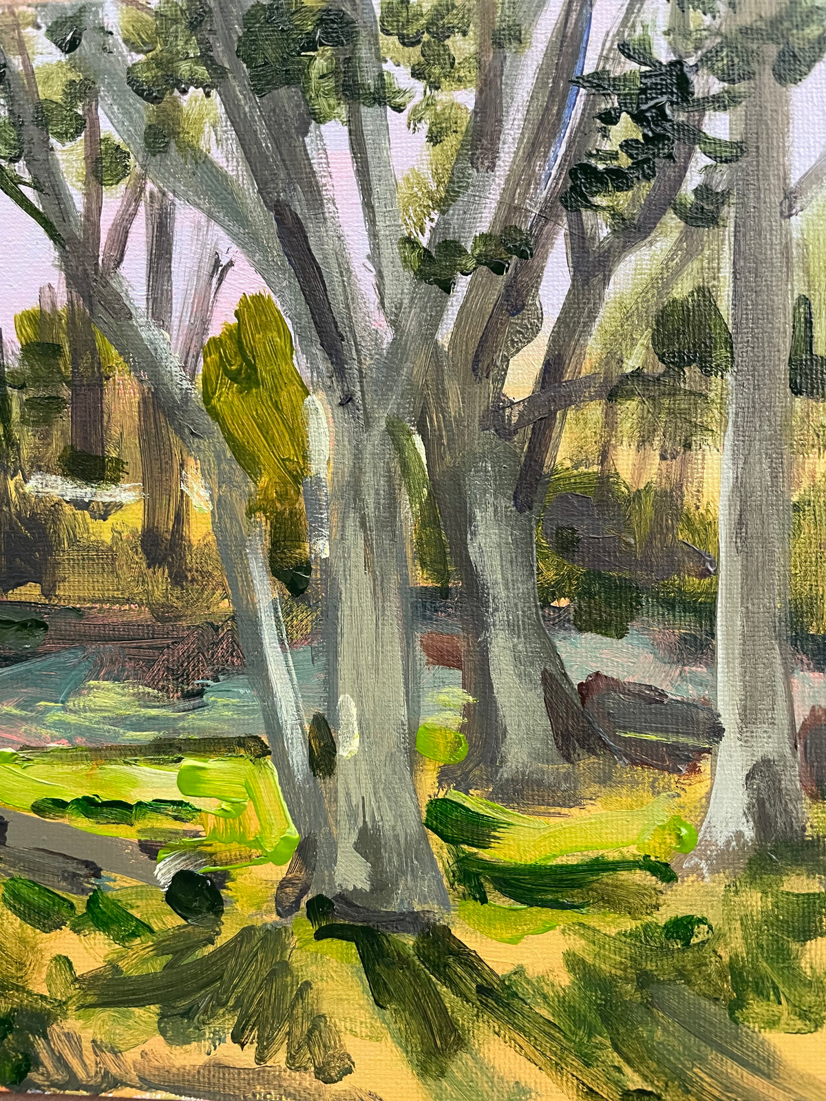 Sunny Glade near the Blue Ridge Parkway, #3 of 50 Places in 50 Paintings