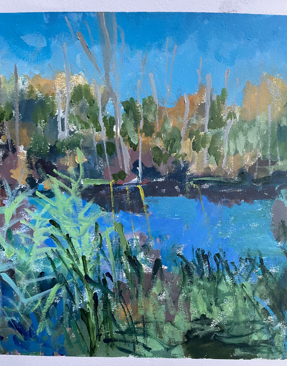 Alligator Refuge, #6 of 50 Places in 50 Paintings