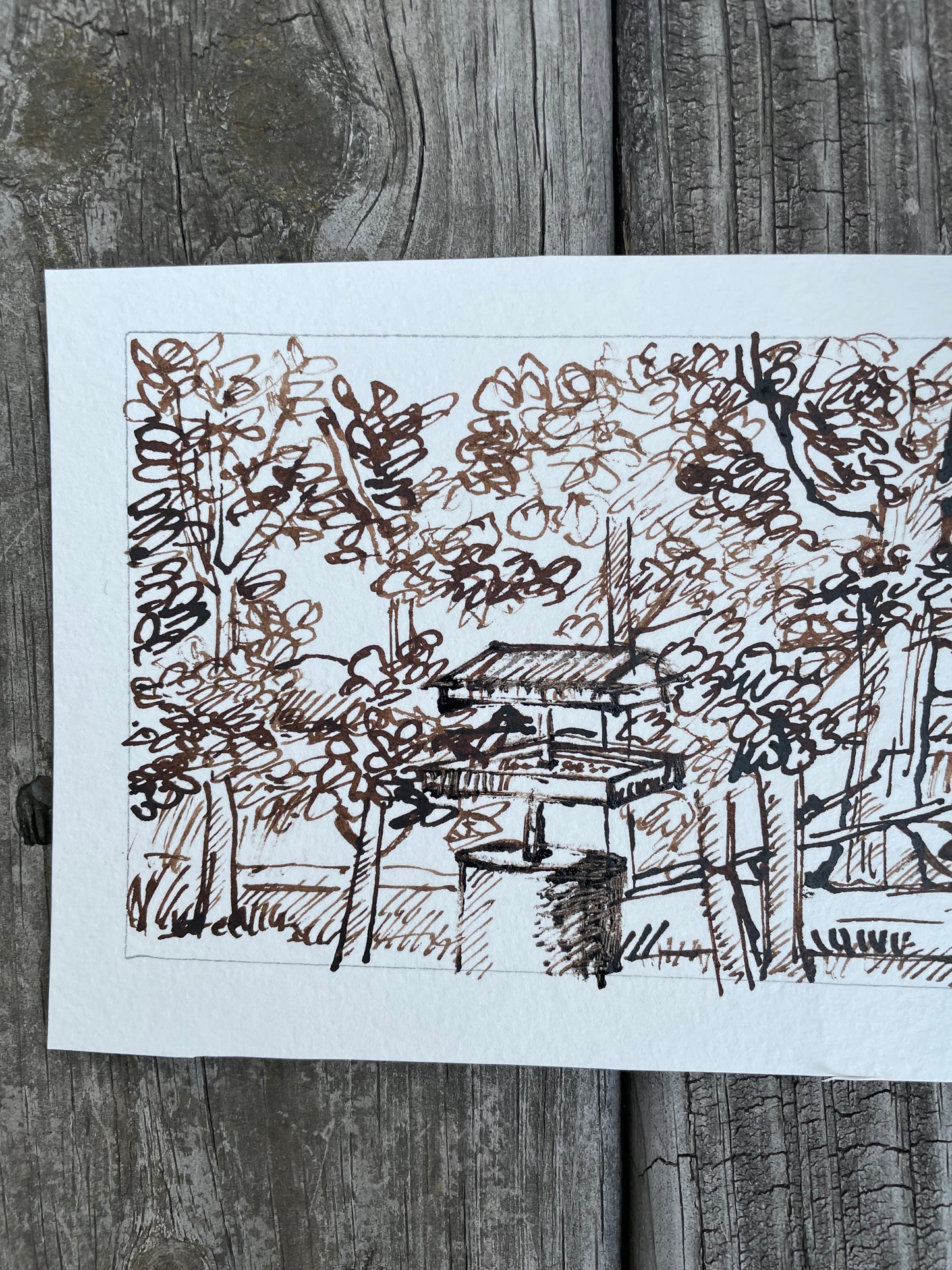 Feeding the Birds – 3.5x5 Walnut Ink Drawing in Da Vinci Notebook Style on Watercolor Paper