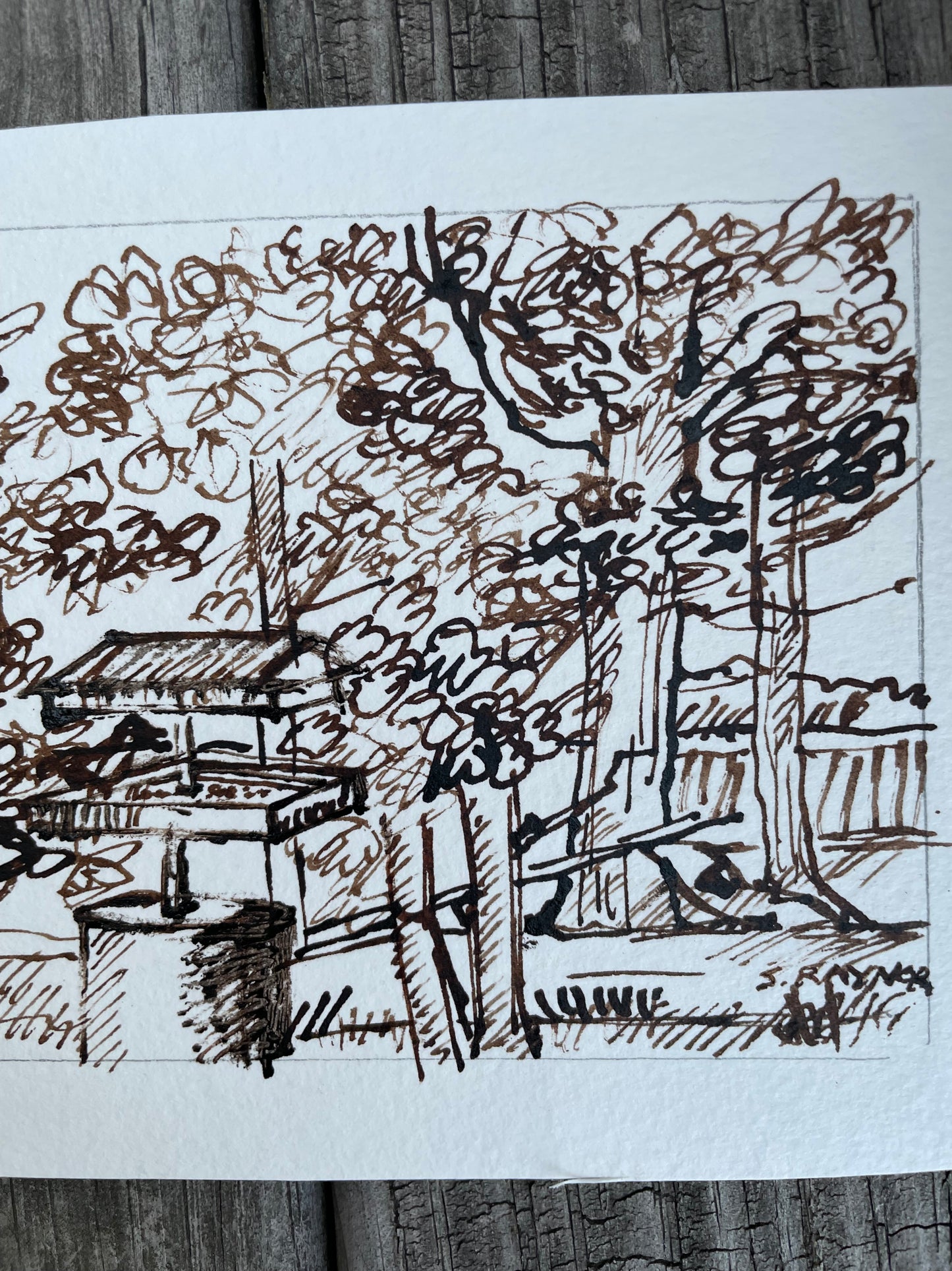 Feeding the Birds – 3.5x5 Walnut Ink Drawing in Da Vinci Notebook Style on Watercolor Paper