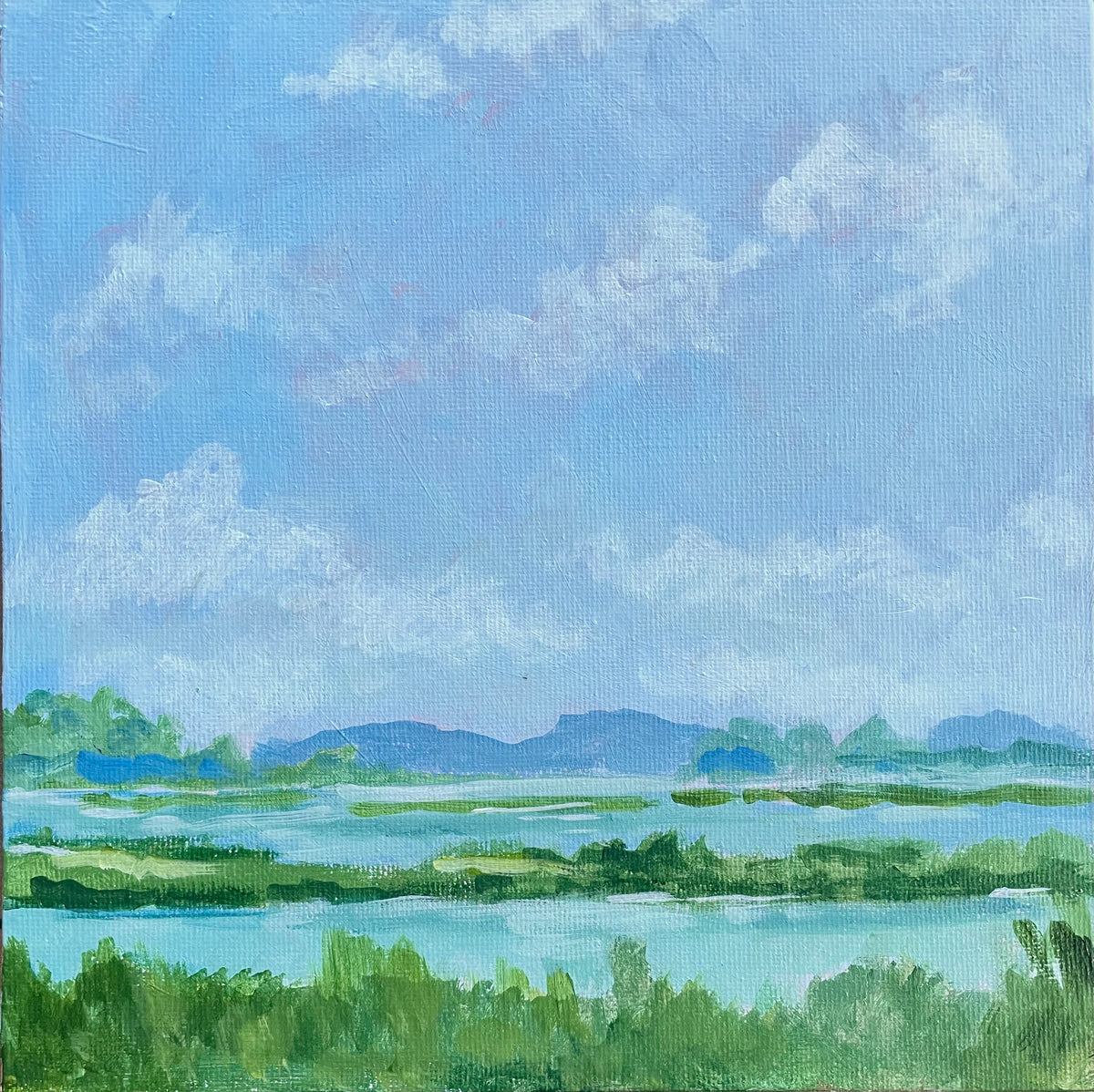 Tidal Views, SC, #8 of 50 Places in 50 Paintings