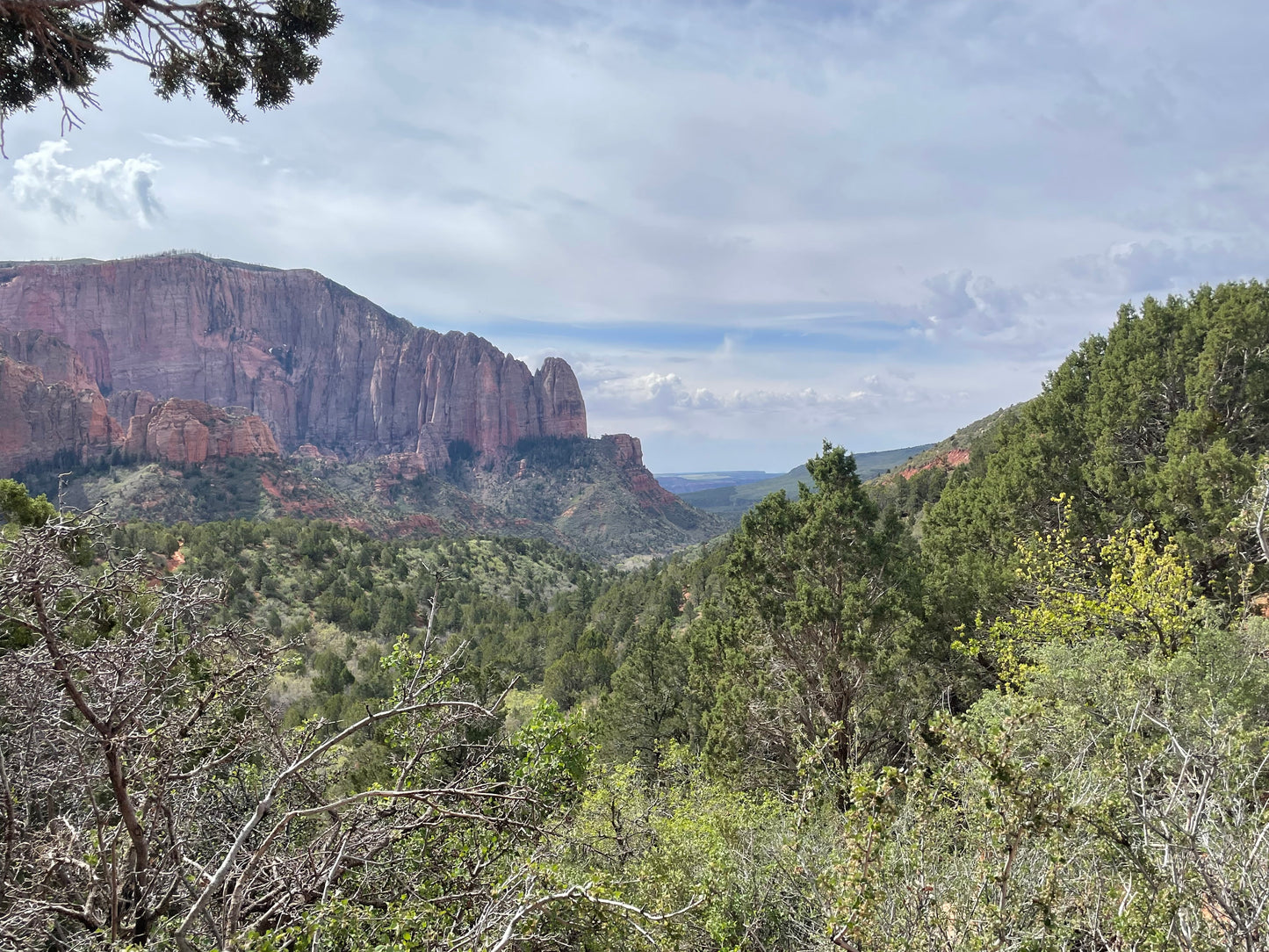 Kolob Canyon, Painting #5 of the Cathedrals of Light Series painted in Zion National Park