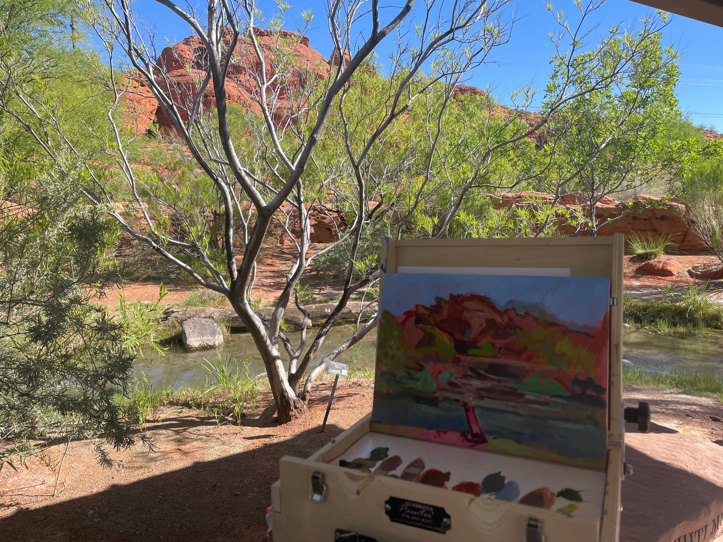 Burgandy Lace Desert Willow, Painting #2 of the Cathedrals of Light Series painted in Zion National Park