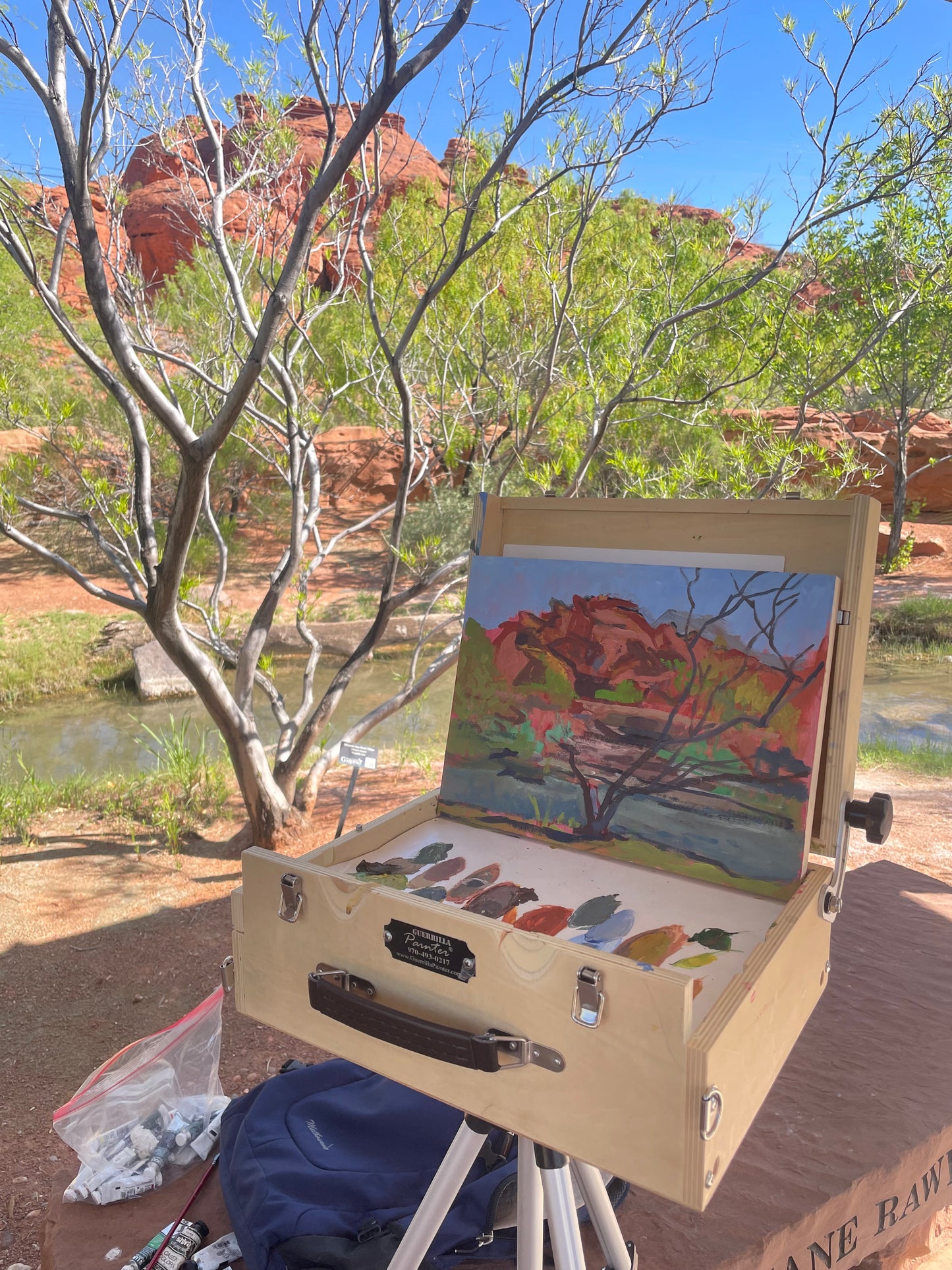 Burgandy Lace Desert Willow, Painting #2 of the Cathedrals of Light Series painted in Zion National Park