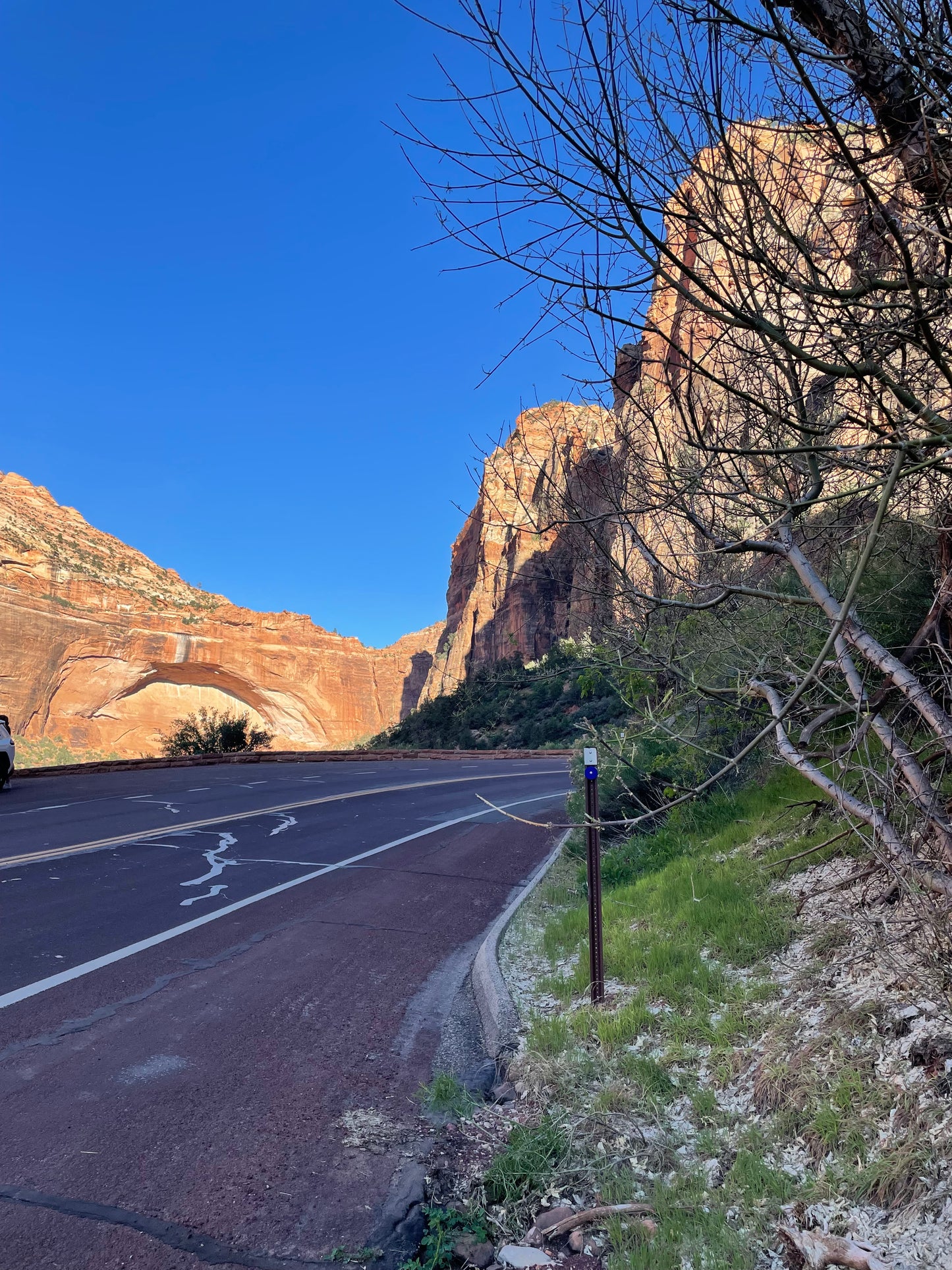 Arch in Curve, Painting #1 of the Cathedrals of Light Series painted in Zion National Park