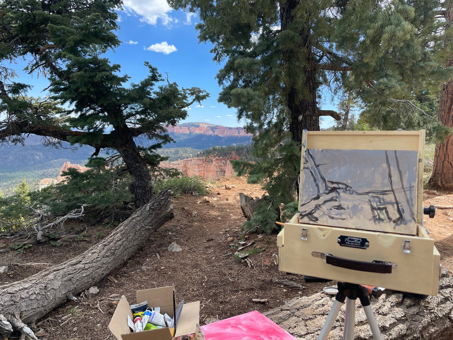 Bryce Overlook, Painting #6 of the Cathedrals of Light Series painted in Zion National Park