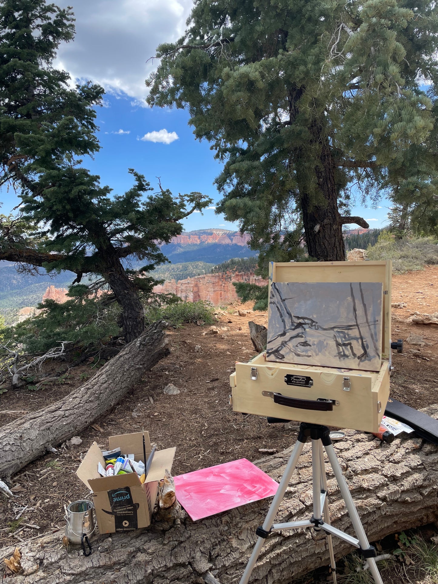 Bryce Overlook, Painting #6 of the Cathedrals of Light Series painted in Zion National Park