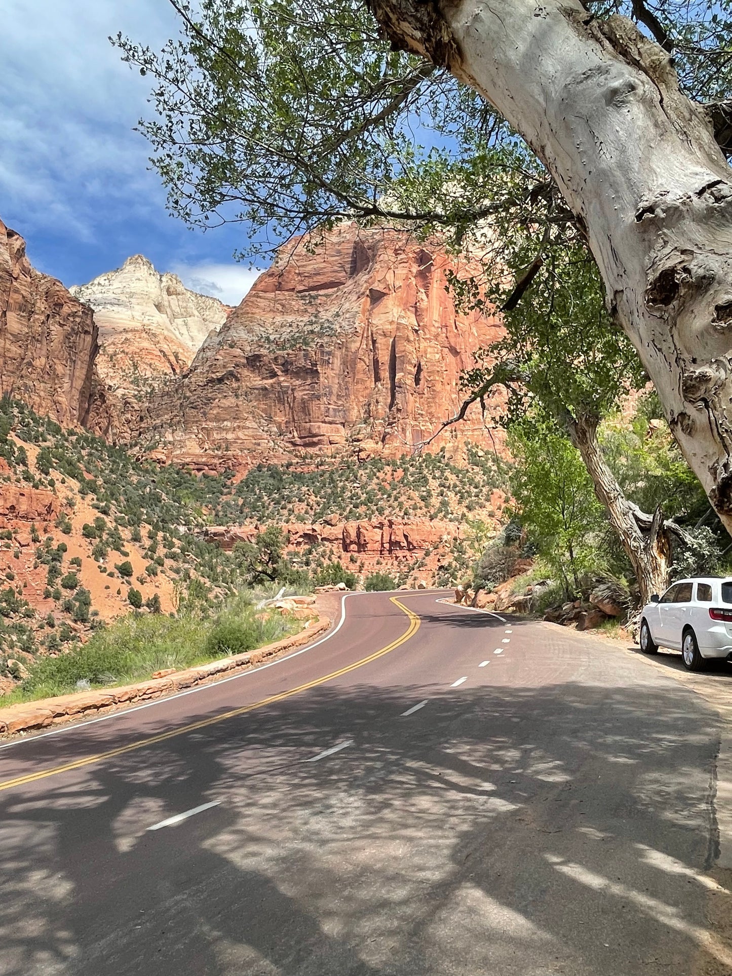 Winding Down, Painting #3 of the Cathedrals of Light Series painted in Zion National Park