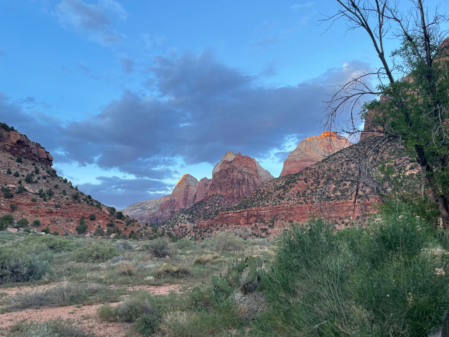 Old Zion Farmstead, Painting #7 of the Cathedrals of Light Series painted in Zion National Park