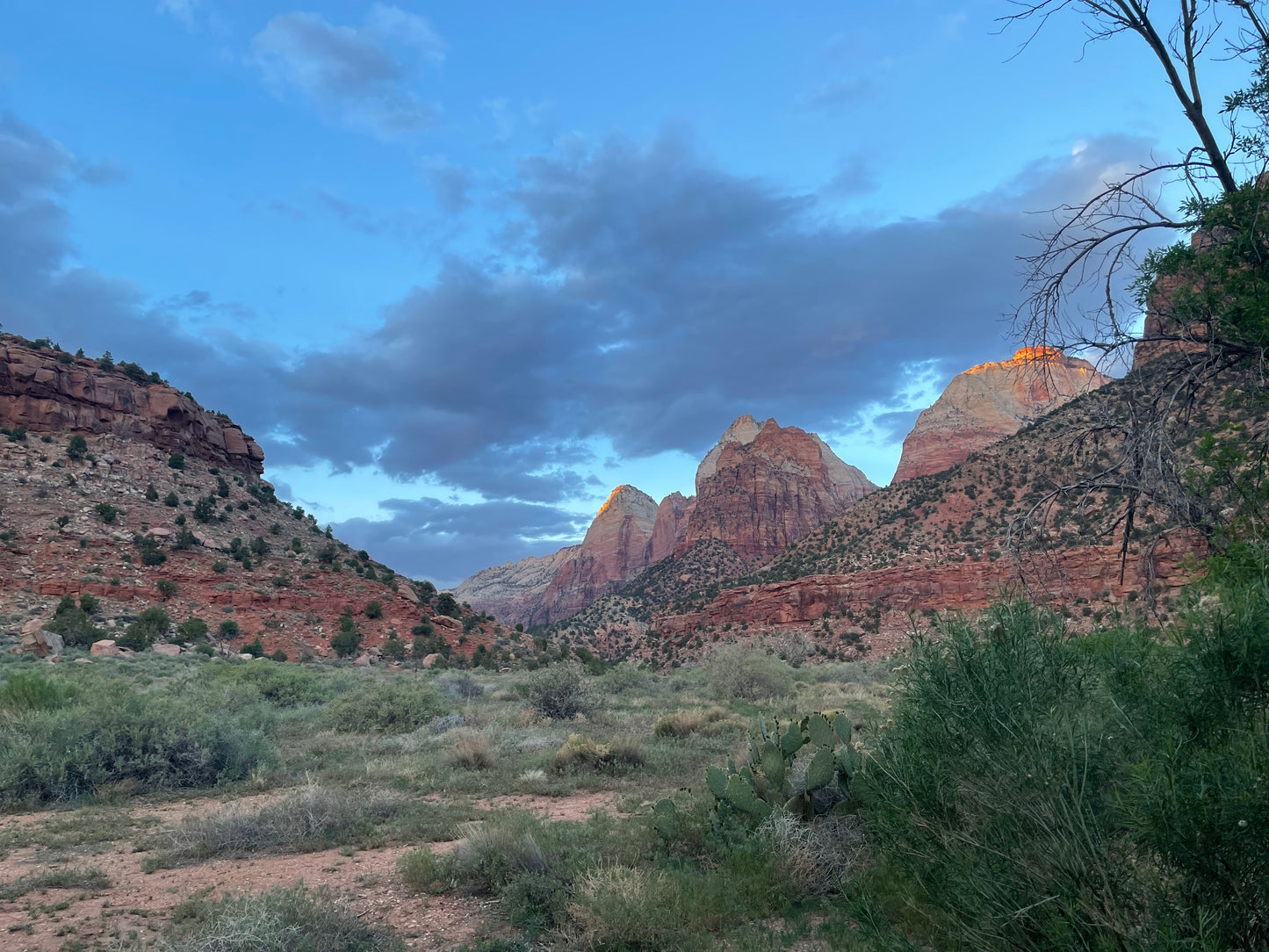 Old Zion Farmstead, Painting #7 of the Cathedrals of Light Series painted in Zion National Park