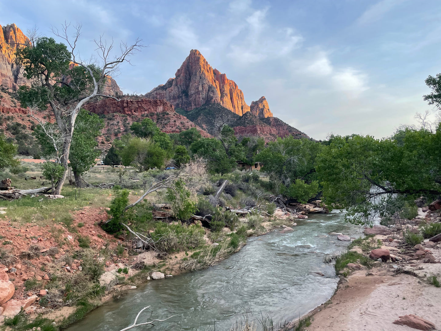 Watchman Sunset, Painting #4 of the Cathedrals of Light Series painted in Zion National Park