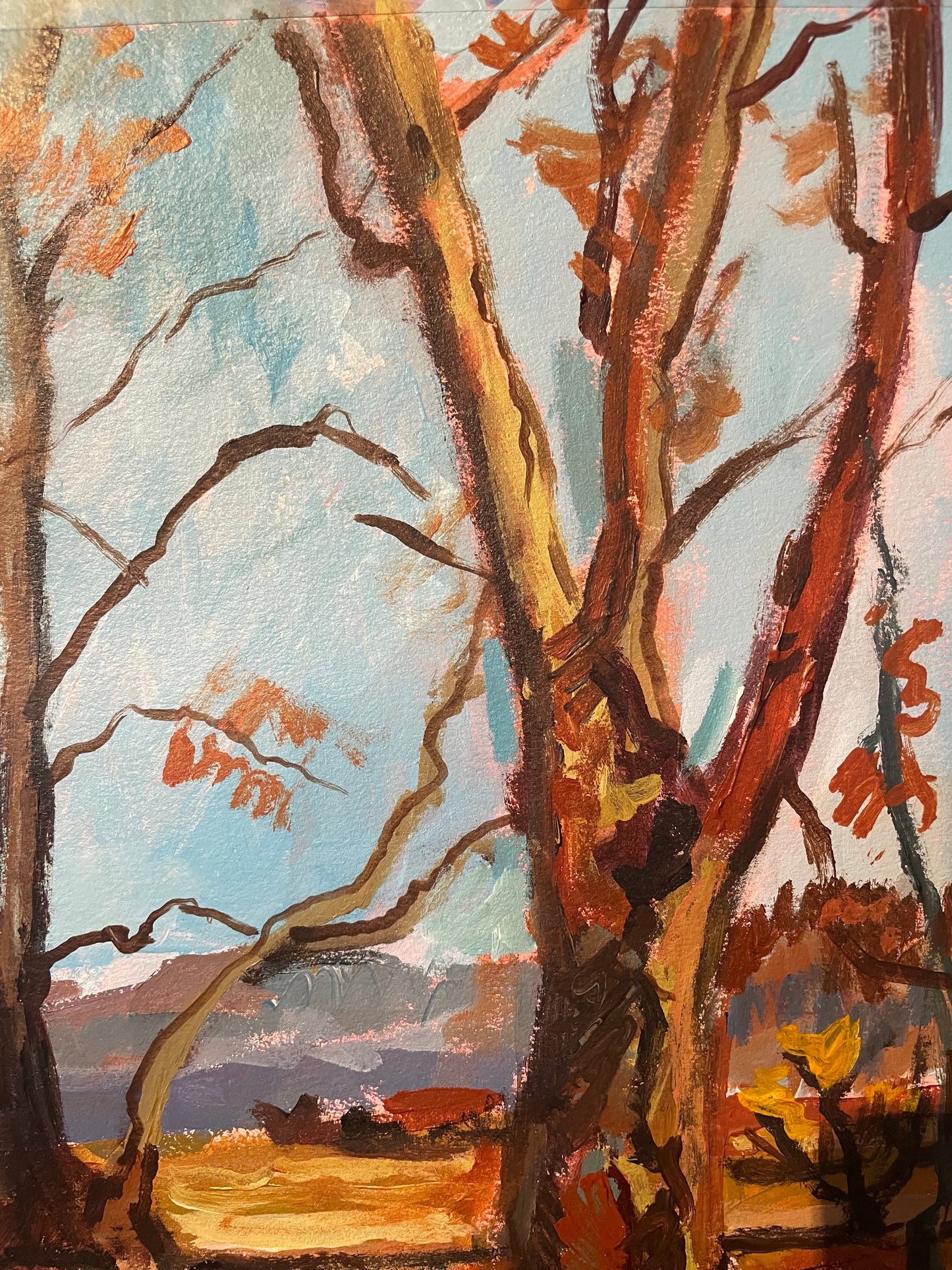 Two Sycamores from California- plein air (Original Art)
