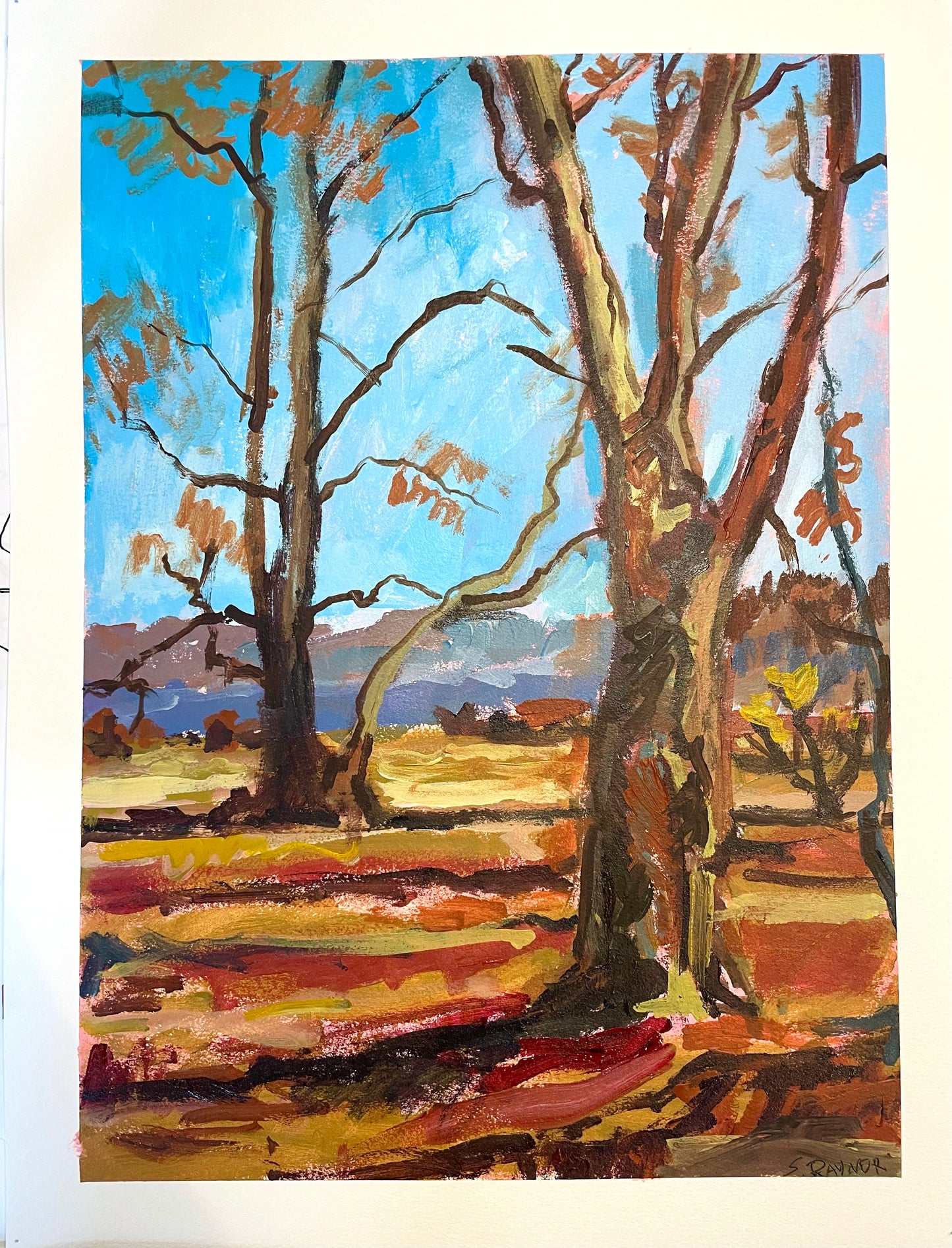 Two Sycamores from California- plein air (Original Art)