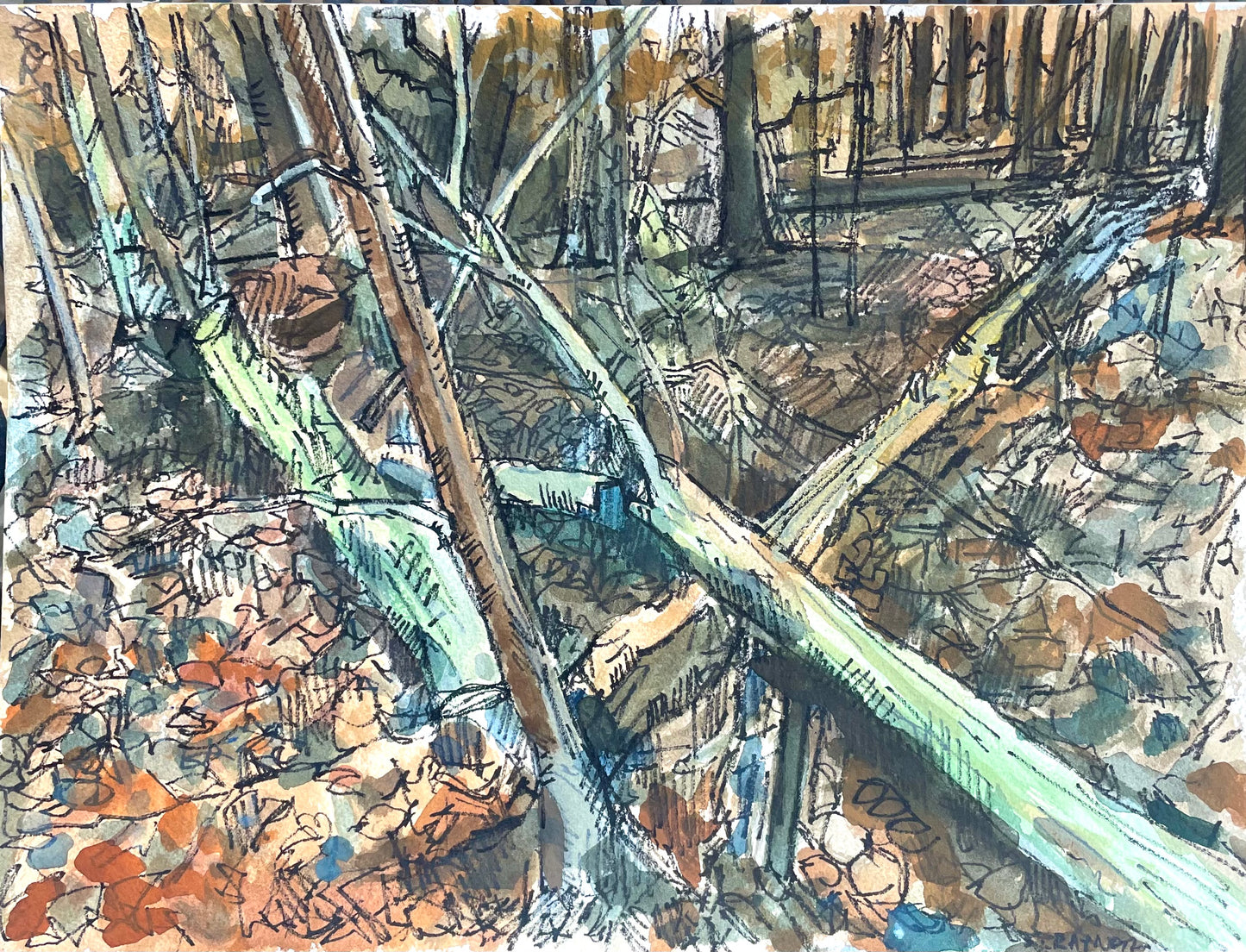 Fallen Logs, Original Watercolor Painting, 9 x 12 inches, Signed by the Artist.