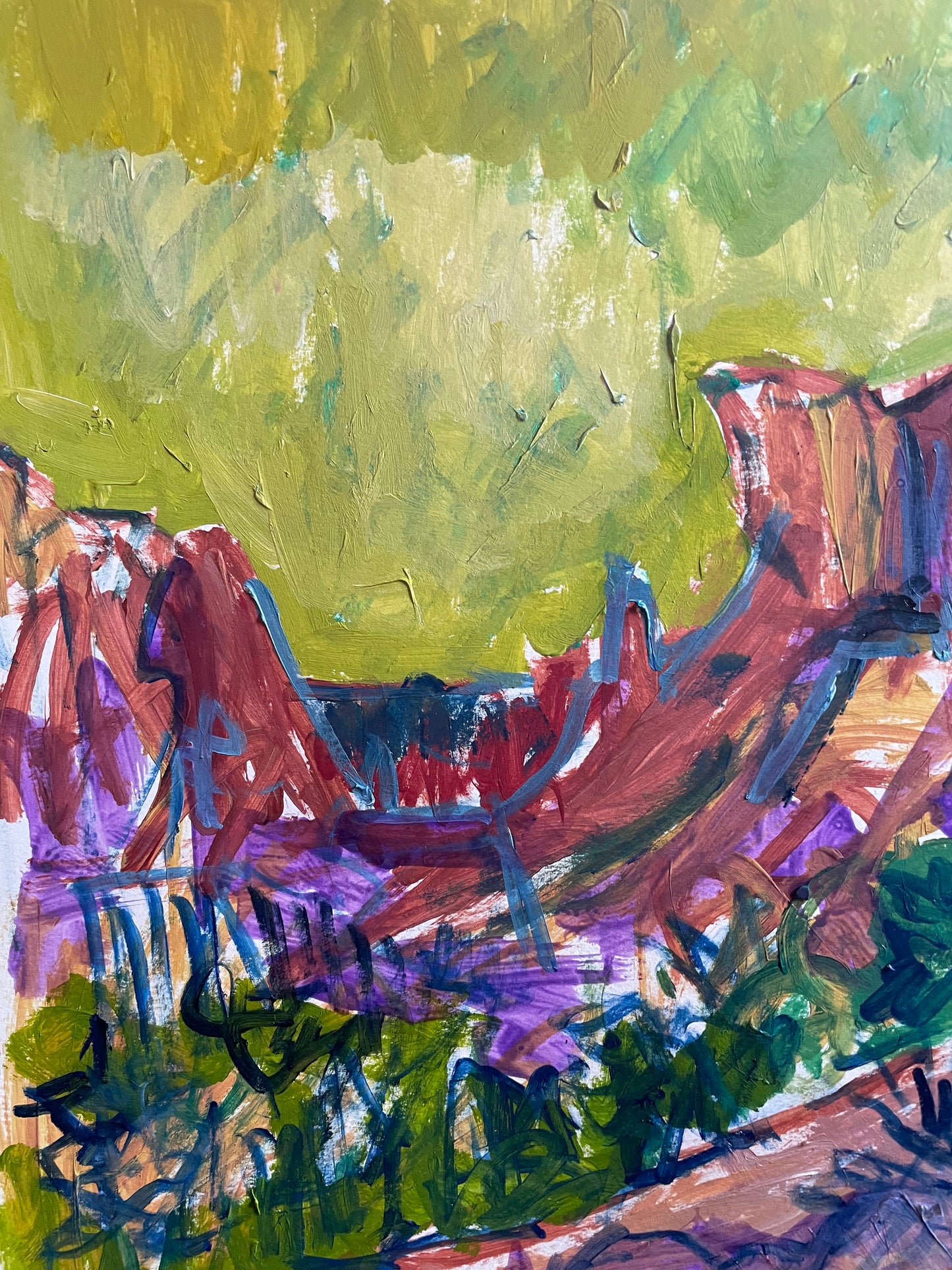 Painted Desert Sedona Original Work of Art