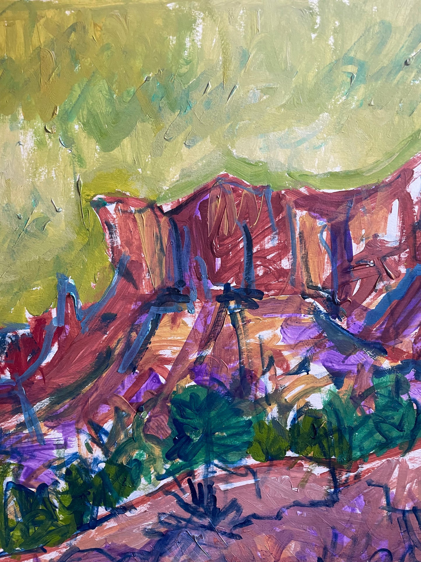 Painted Desert Sedona Original Work of Art