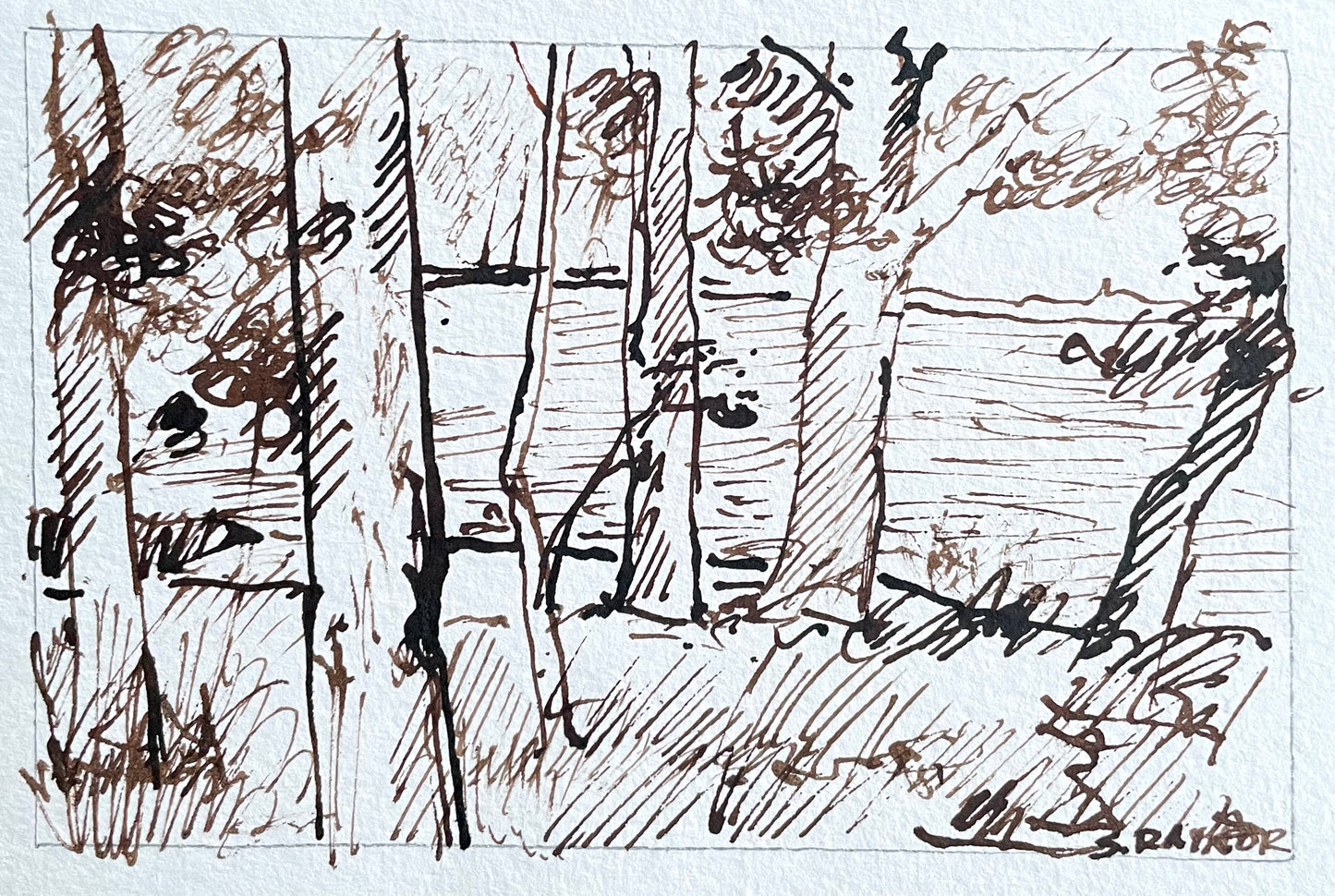 Late Summer Trees by the Water – Original 3.5x5 Walnut Ink Drawing on Watercolor Paper
